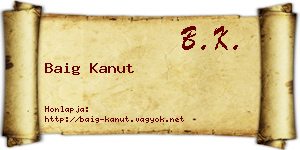Baig Kanut névjegykártya